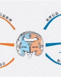 乐鱼官网-麻省理工最新研究：父母多和娃聊天，能让大脑发育更好，更聪明